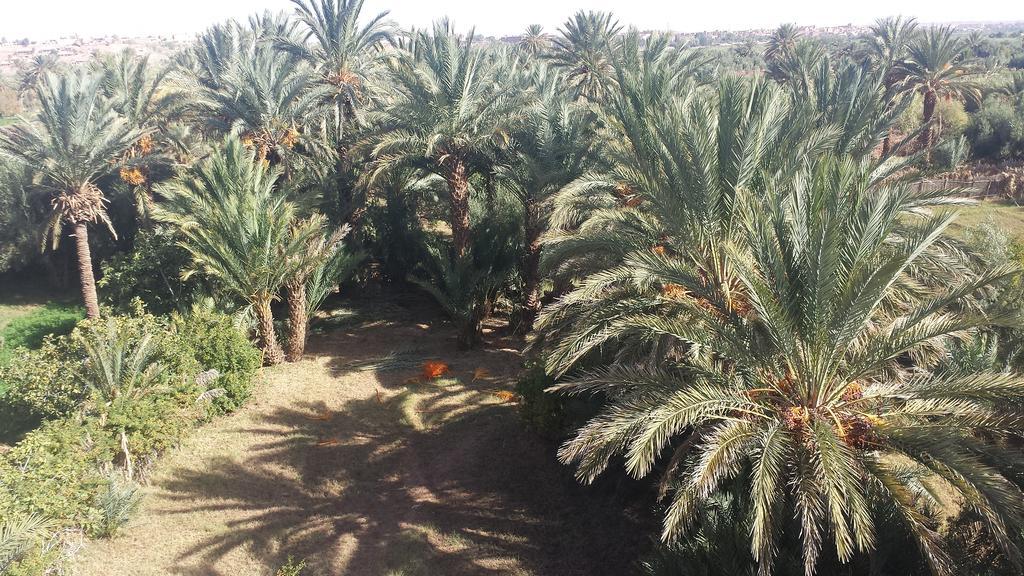 Cinema Riad Tajda Kültér fotó