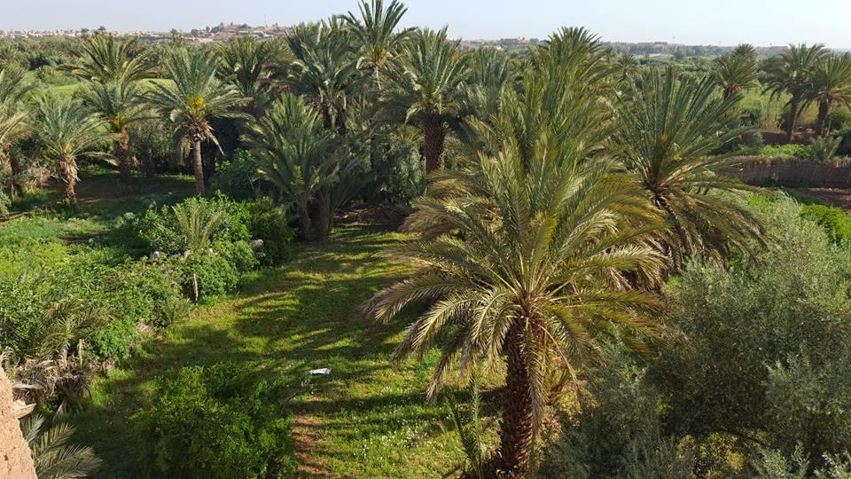 Cinema Riad Tajda Kültér fotó
