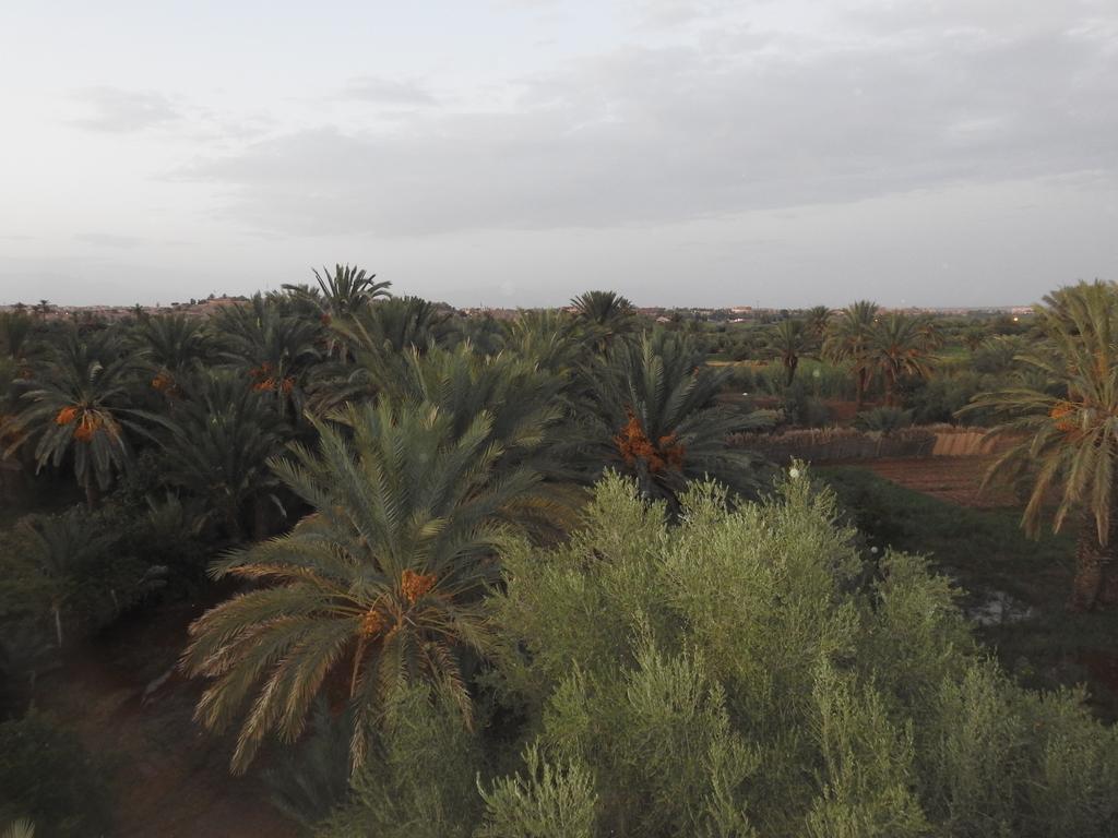 Cinema Riad Tajda Kültér fotó